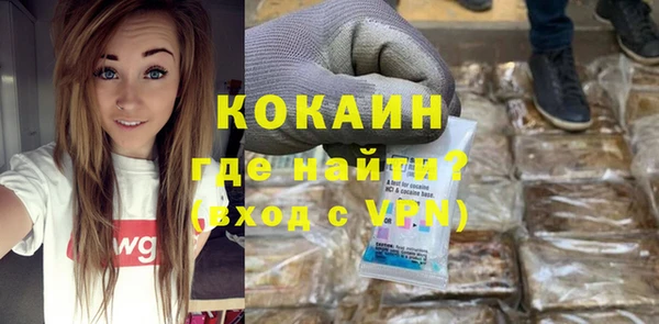 шишки Волоколамск