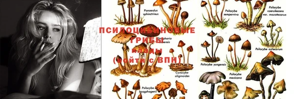 ПСИЛОЦИБИНОВЫЕ ГРИБЫ Бугульма